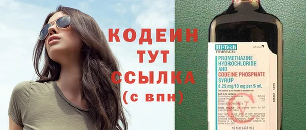 стаф Володарск