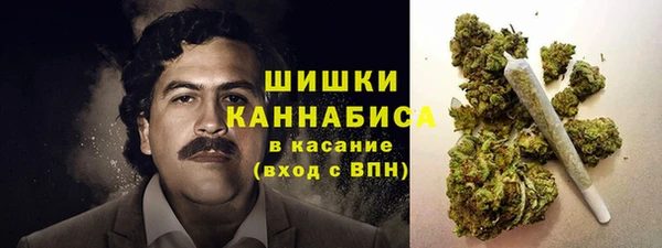 стаф Володарск