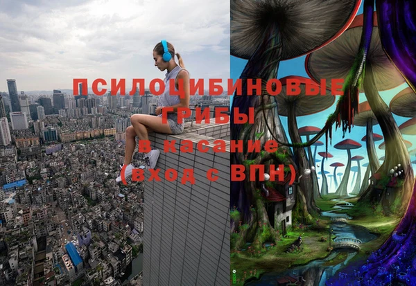 спайс Волоколамск