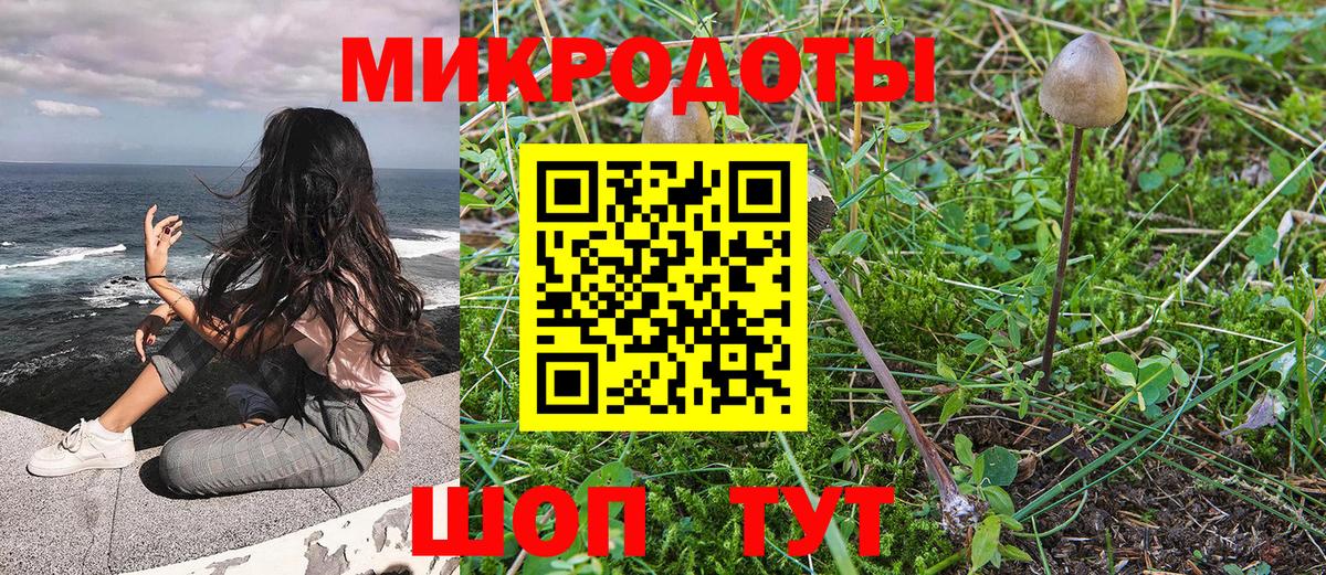 Галлюциногенные грибы Cubensis  Вход с VPN  Вязники  сколько стоит  Галлюциногенные грибы мухоморы 