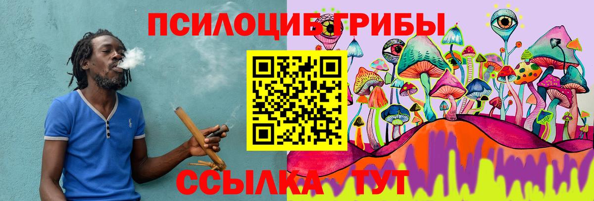 Псилоцибиновые грибы Psilocybe Вязники
